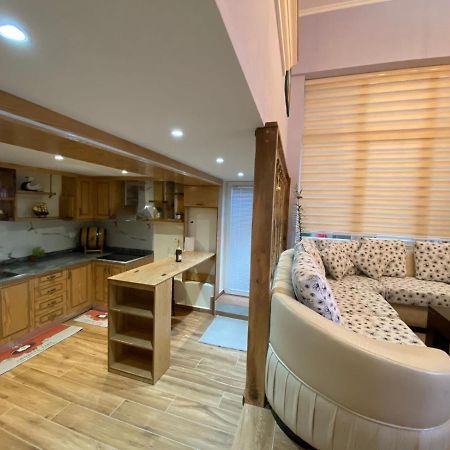 B & B بورغراديك المظهر الخارجي الصورة